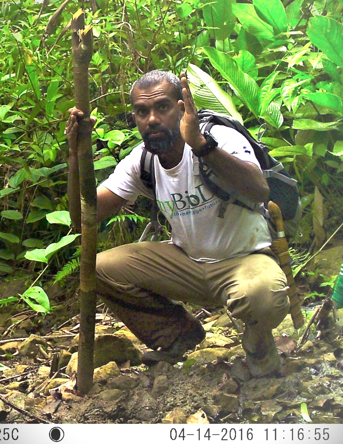 Assoc prof Azlan Jayaseelan... stop the exploitation of forests. – Pic by Assoc Prof Mohd Azlan Jayasilan