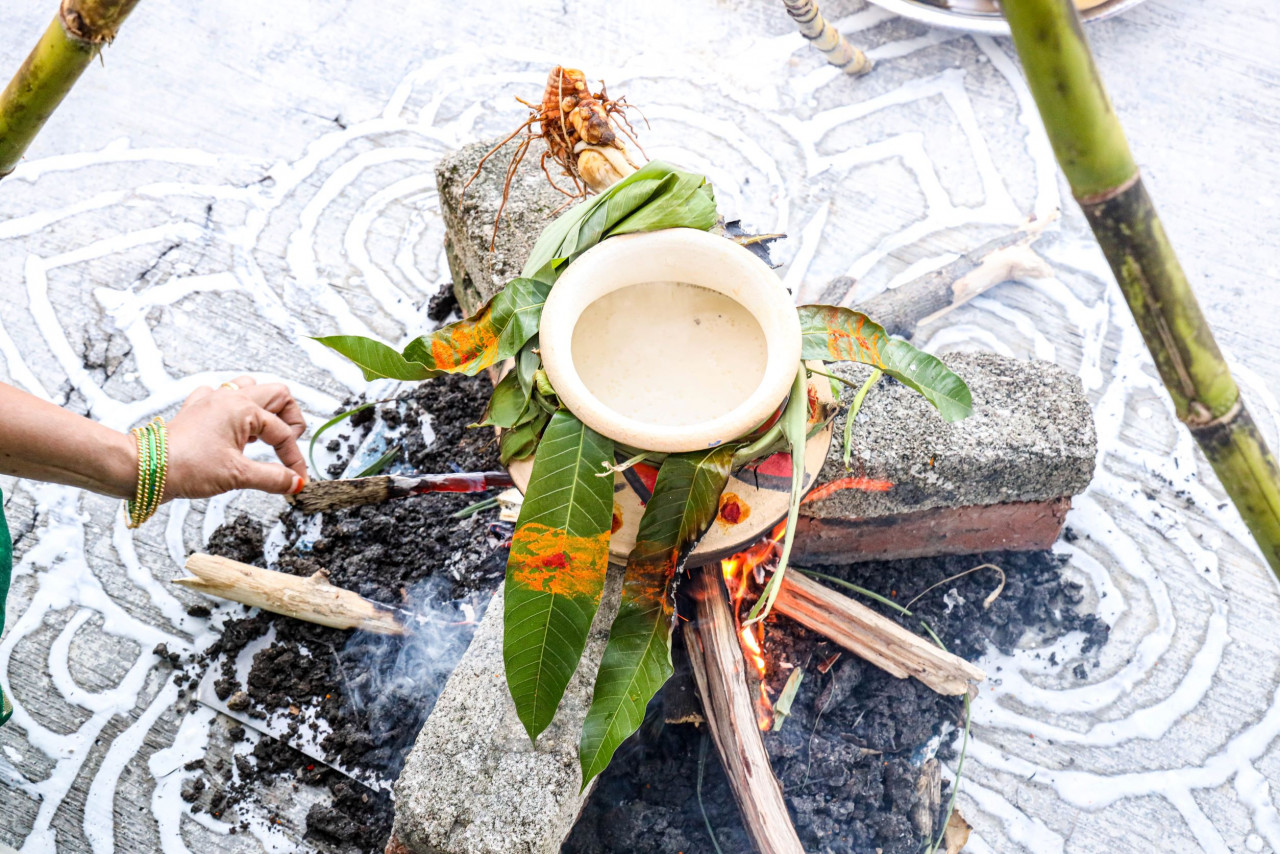 Traditionally, pongal is cooked in clay pots, on stoves made with stones and wood used as fuel. When it starts to boil over, everyone shouts out ‘pongalo ponggal’. – Pic courtesy of Kogulanath Ayappan