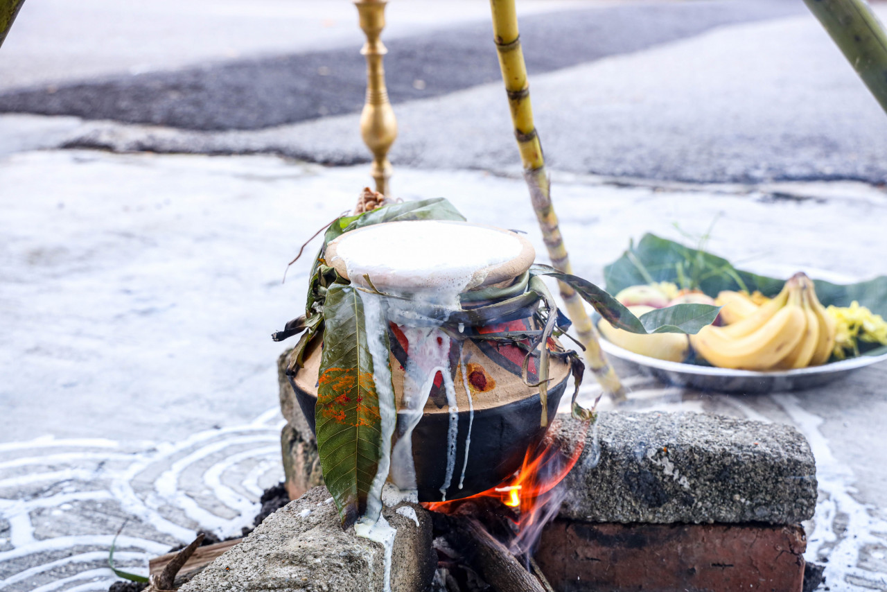 Kogulanath shared that the ritual starts at the sight of sunrise with the boiling of milk until it overflows and spills; a symbol of abundance and prosperity. – Pic courtesy of Kogulanath Ayappan
