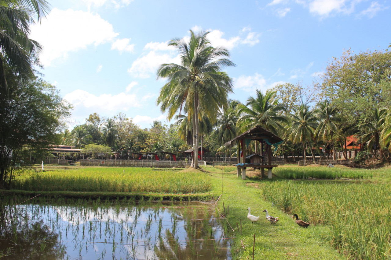 The Best Of Langkawi The Perfect Five Day Itinerary Places The Vibes