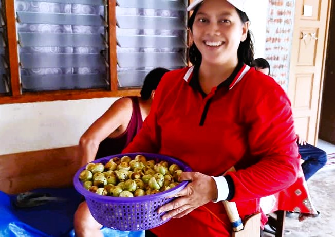 Eivenner Suria, from Lundu, 10km from Bau is an expert in the many ways the engkalak is used. The fruit is green when unripe and turns into a glorious pink when it ripens. – Joseph Masilamany/The Vibes pic