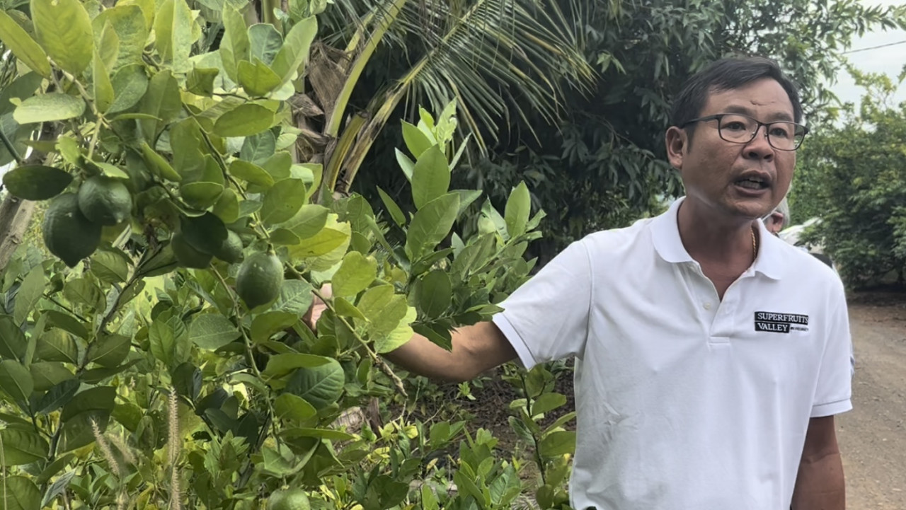 Robin Lim, the managing director of Superfruits Valley, has been an organic farmer since 2014. – Rachel Yeoh pic