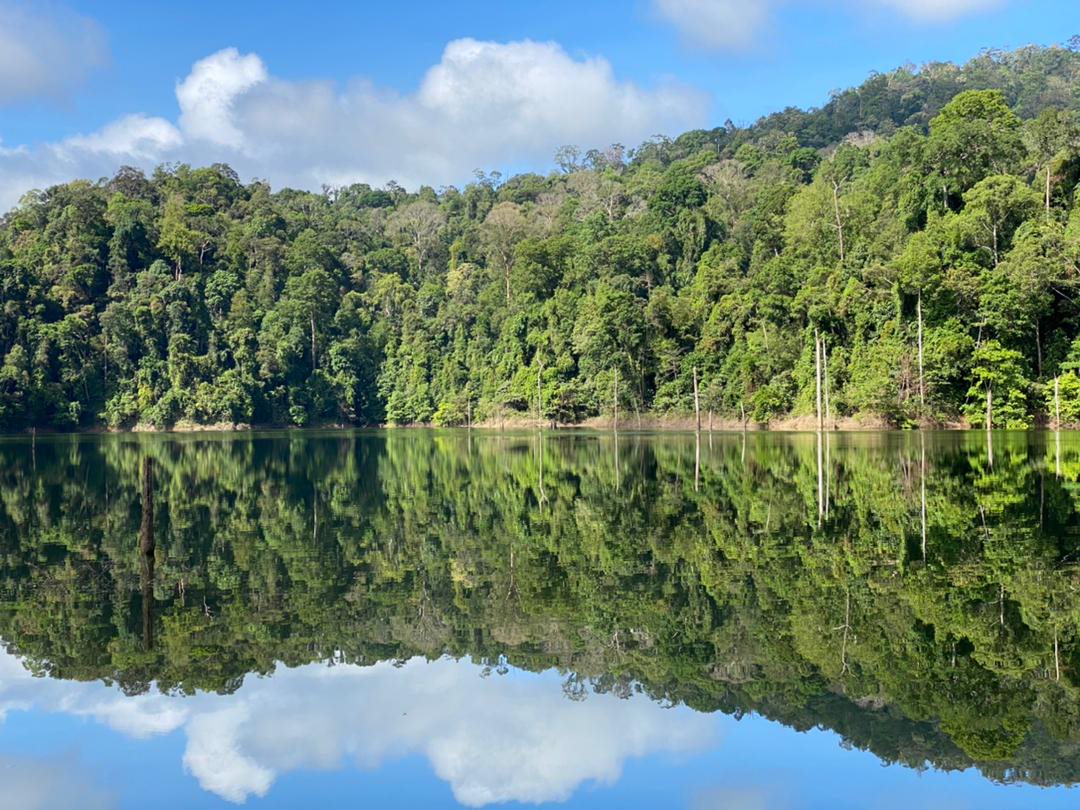 The isolated pockets of forest reserves in Peninsular Malaysia represent what is left of the homeland of the Malayan Tiger. – Pic courtesy of Rimau