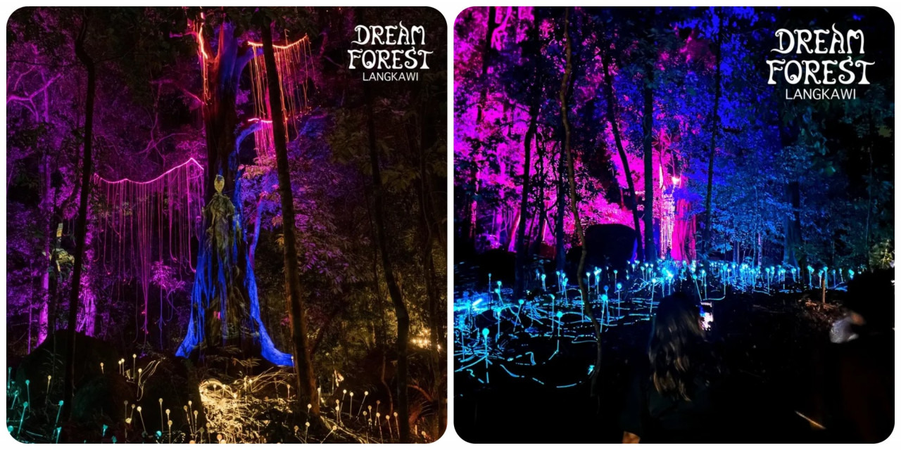 – Pic courtesy of Dream Forest Langkawi