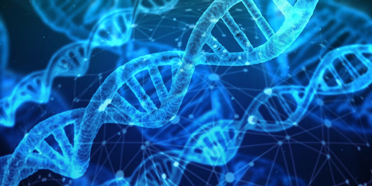 Viruses containing DNA will undergo mutation every couple of thousands or million copies. – Pixabay pic, November 6, 2021