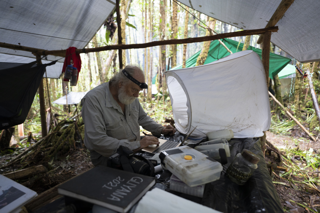 Biologist Bruce Means studies frog species deep in the Amazon of Western Guyana. – National Geographic