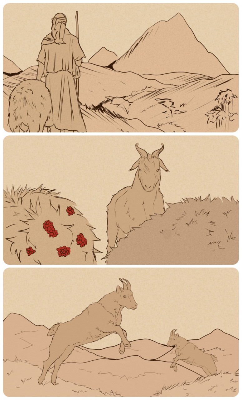(Top) Kaldi with his Goats. (Middle) Kaldi's goats come across the red berries. (Bottom) Kaldi's goats rage after consuming the mysterious red berries. – Illustrations by Hanif Zahari