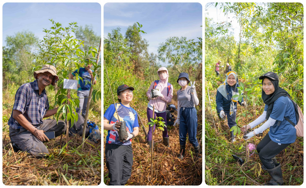 Volunteers planting trees at the Kuala Langat North Forest Reserve. – Pic courtesy of BOH Plantations