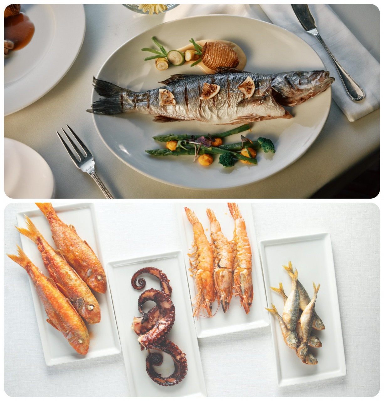 Just a sample of the many seafood options to be found in Istanbul. – Türkiye Tourism Promotion and Development Agency