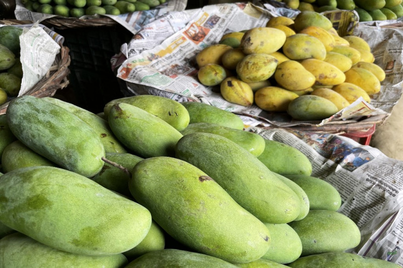 India's mango man, father of 300 varieties