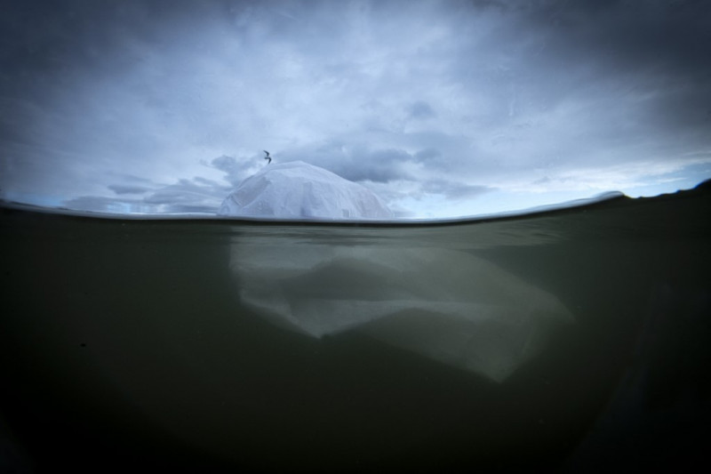 Oceans saved us, now we can return the favour
