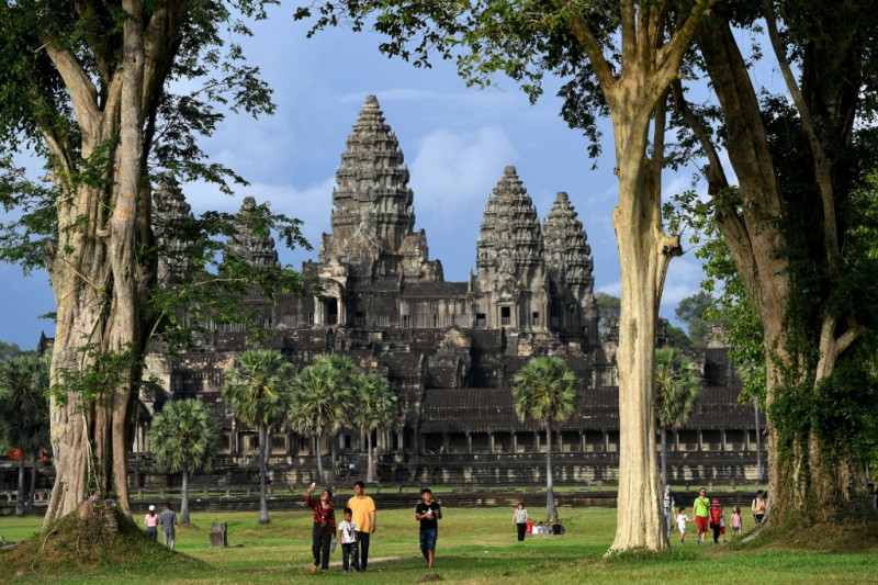 Baby boom: the endangered wildlife revival at Cambodia's Angkor Wat