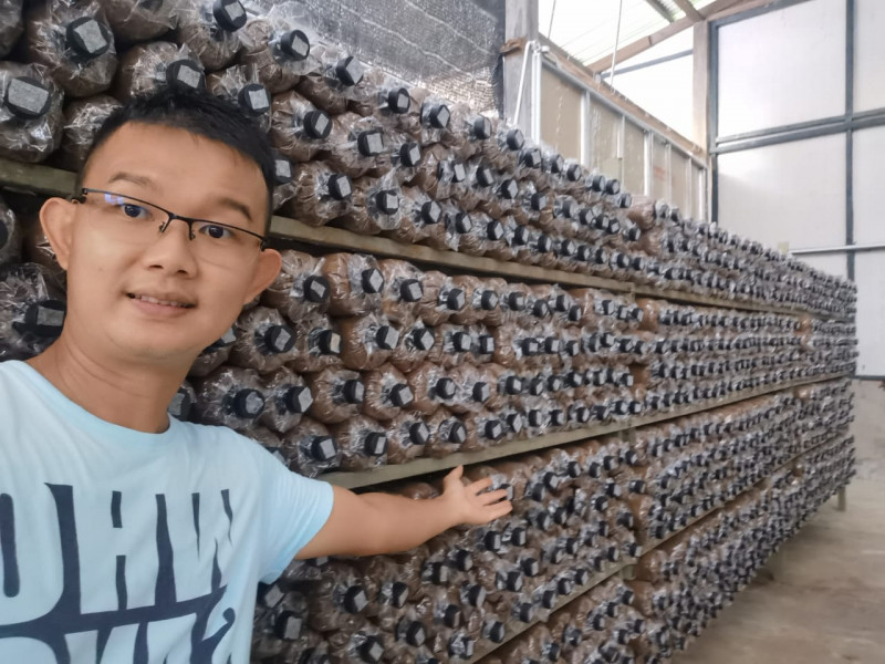 Teacher turned entrepreneur extols virtues of mushrooms as unexplored commodity