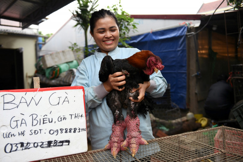 Giant legs of Vietnam's 'dragon chicken' a Lunar New Year delicacy