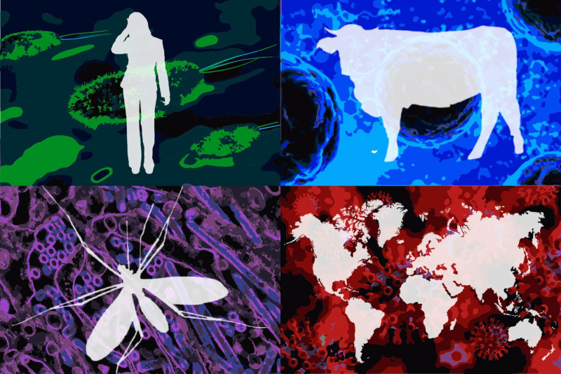Changing climate, changing diseases: how environment and viruses are linked