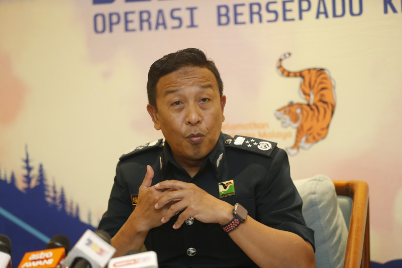 Danger to pangolins: M’sia identified as transit country for wildlife smuggling