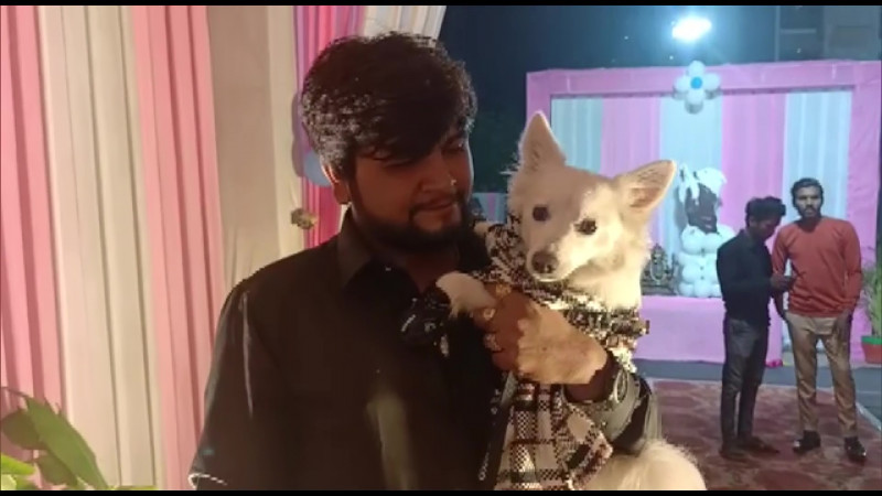 Indians arrested for Covid rule-breaking puppy party