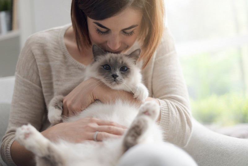 Why cats probably do understand us when we talk to them