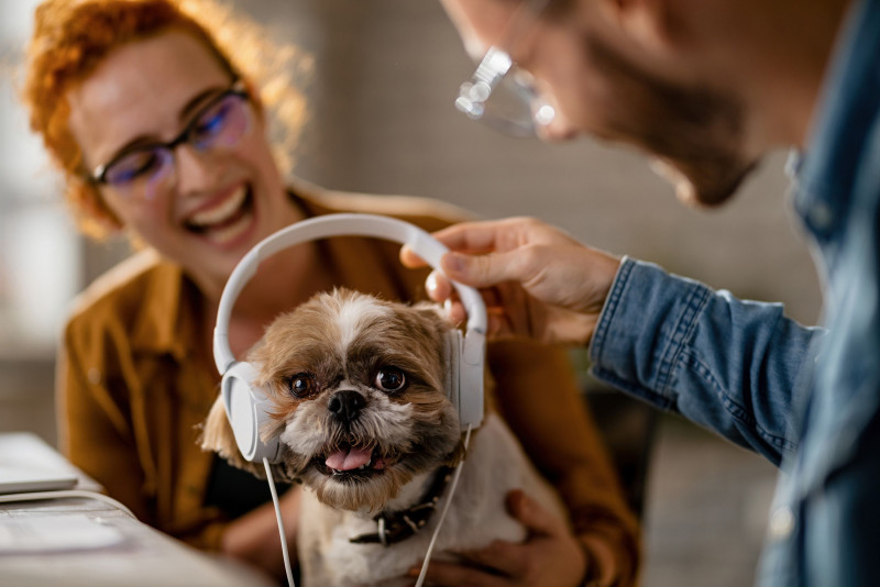 Leaving the radio on for your dog when you're not home probably has no effect