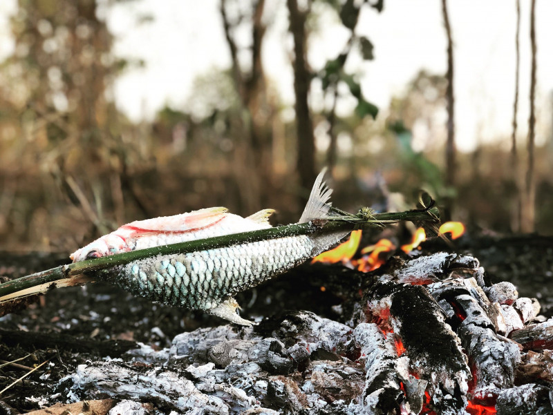 Earliest proof of cooking shows our ancestors liked well-done fish