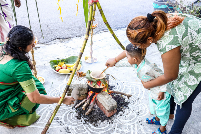 Ponggal 2022: a dedication to the sun, and its beings