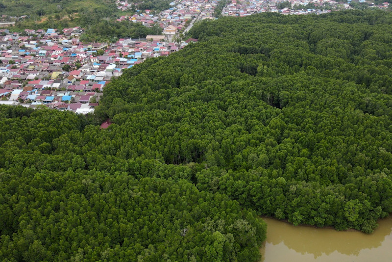 Why Indonesia is moving its capital to the rainforests of Borneo
