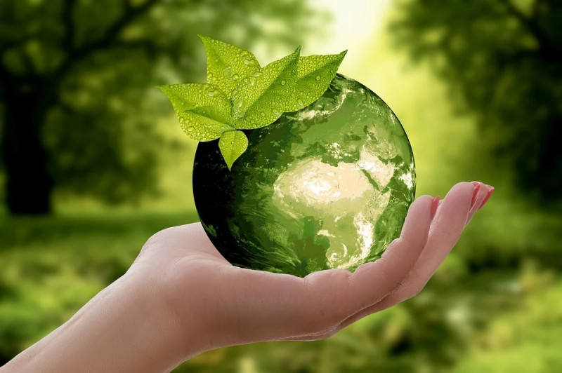 World Environment Day: Just one planet and it's going, going, gone!