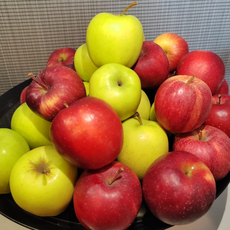A treat of apples from Poland’s vast orchards