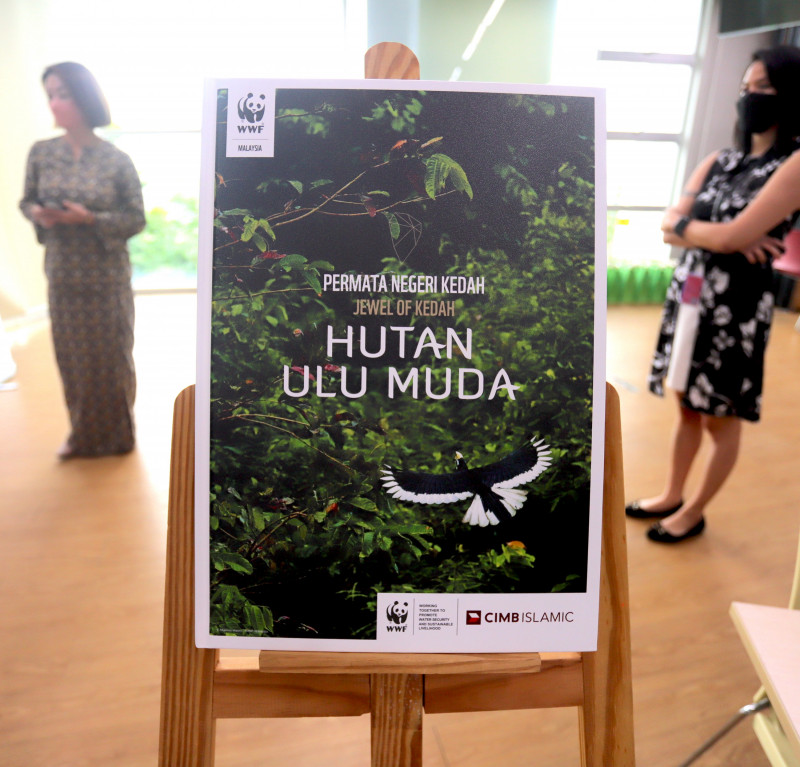 WWF-Malaysia launches Jewel of Kedah: Ulu Muda Forest coffee table book 