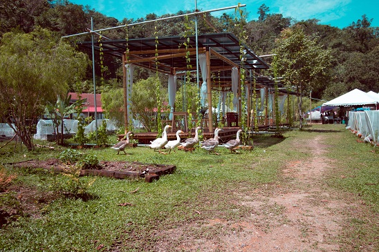 Dignity Farm Academy exhorts back-to-basics living