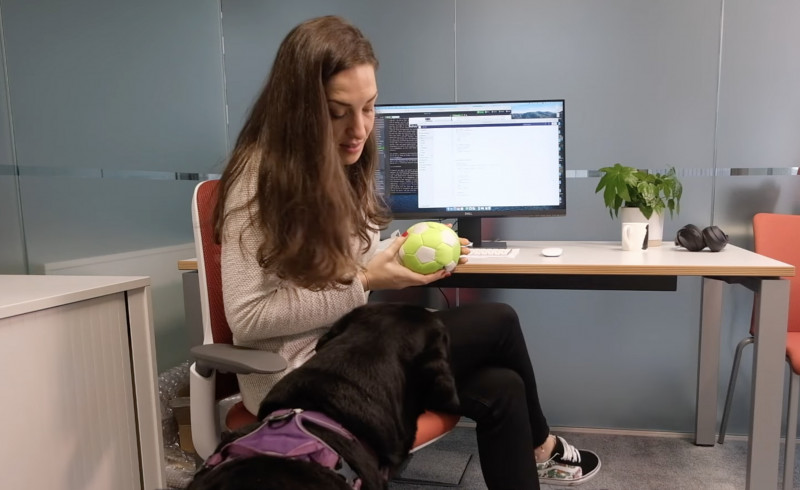 This connected ball allows a dog to initiate a video call with their human