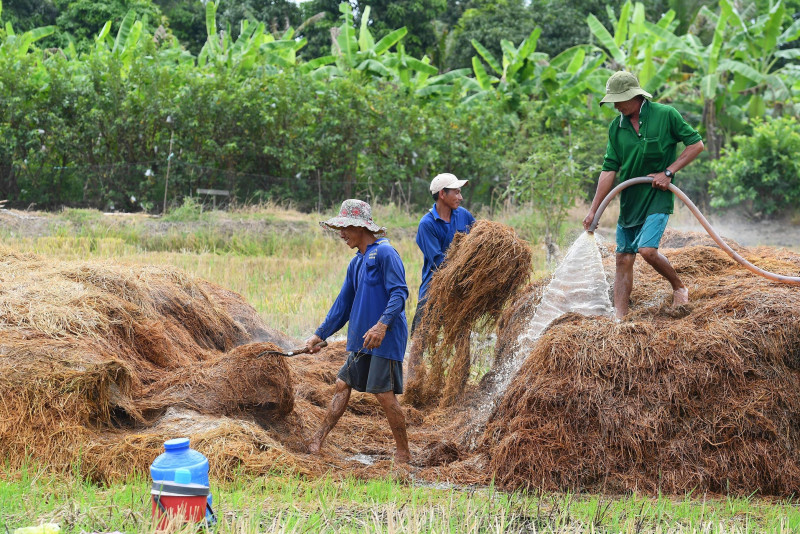 How Vietnam is trying to stop rice warming the planet