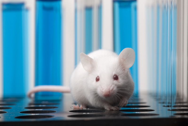 New class of drug reverses paralysis in mice