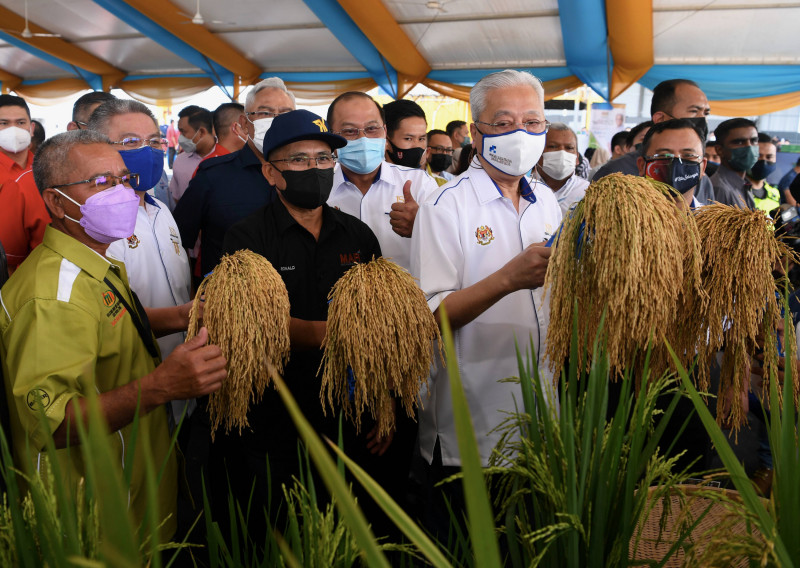 Mosti creates new paddy variety from nuclear tech, names it after PM