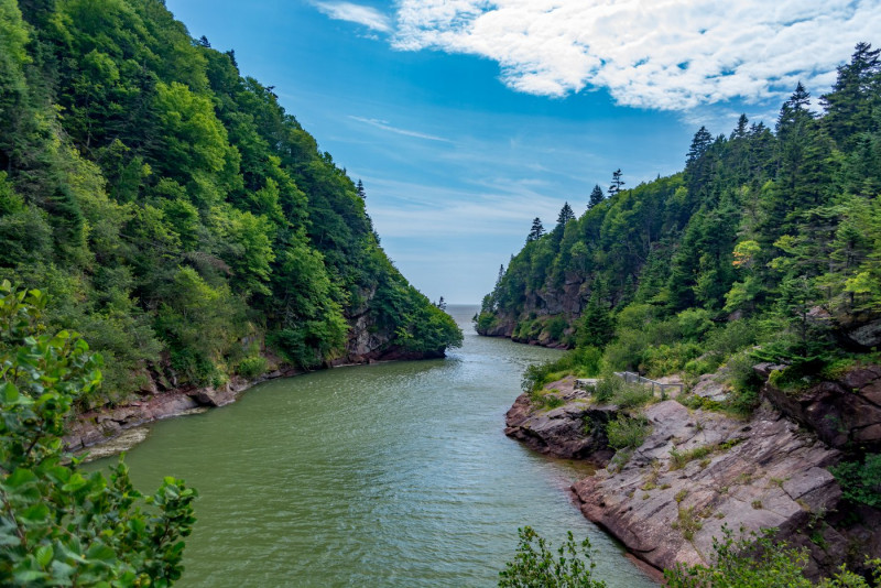 What Does Rights Of Nature Mean For Development Our Planet The Vibes