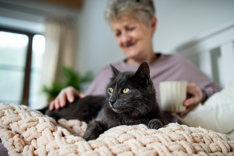 Could cats help solve criminal investigations?