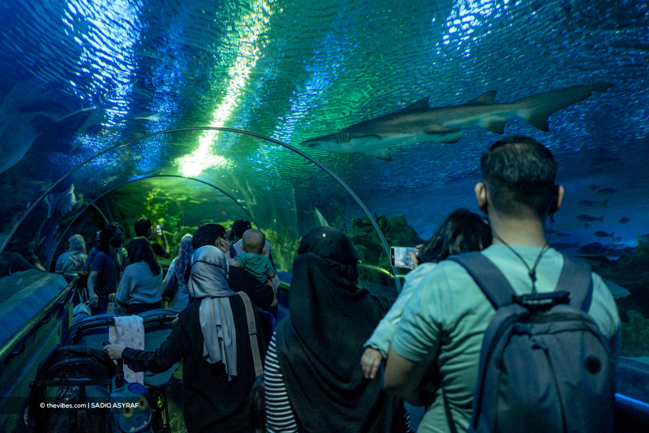 There’s just something about the beauty and potential danger of the sharks at Aquaria KLCC that keep people spellbound to their every movement in the water. – SADIQ ASYRAF/The Vibes pic, November 27, 2021