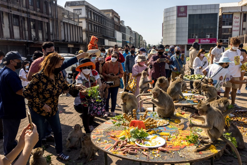 Tourists gather and take pictures as macaque monkeys eat food left on tables outside the Phra Prang Sam Yod temple during the annual Monkey Buffet Festival in Lopburi province, north of Bangkok. – AFP pic