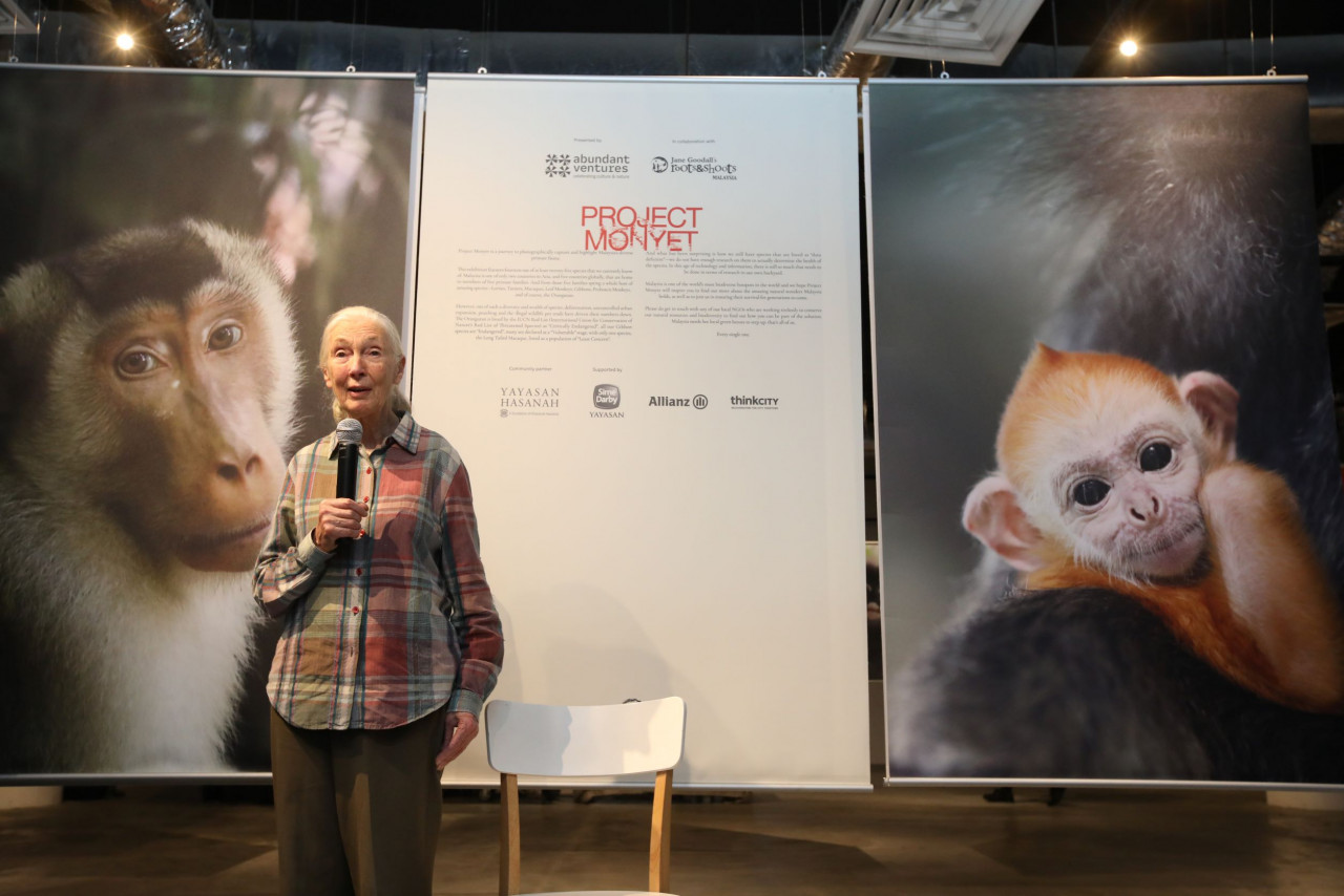 Dr Jane Goodall officiated 'Project Monyet' in 2019. – Pic courtesy of Peter Ong