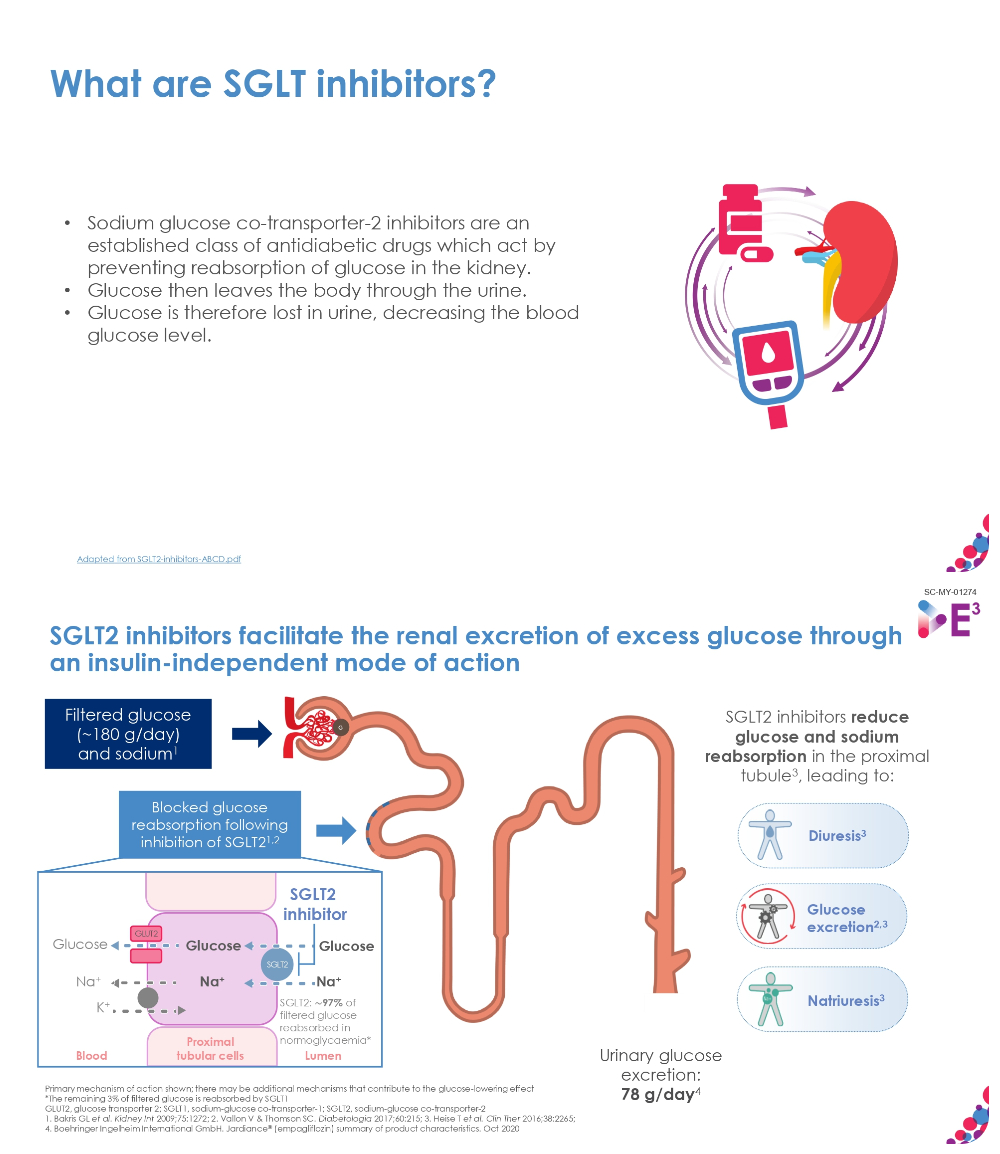 In this clinical first for adults with heart failure with preserved ejection fraction, the SGLT2 inhibitor demonstrated an impressive 21% relative risk reduction in the composite primary endpoint of cardiovascular death or hospitalization for heart failure. — Pic courtesy of Boehringer Ingelheim
