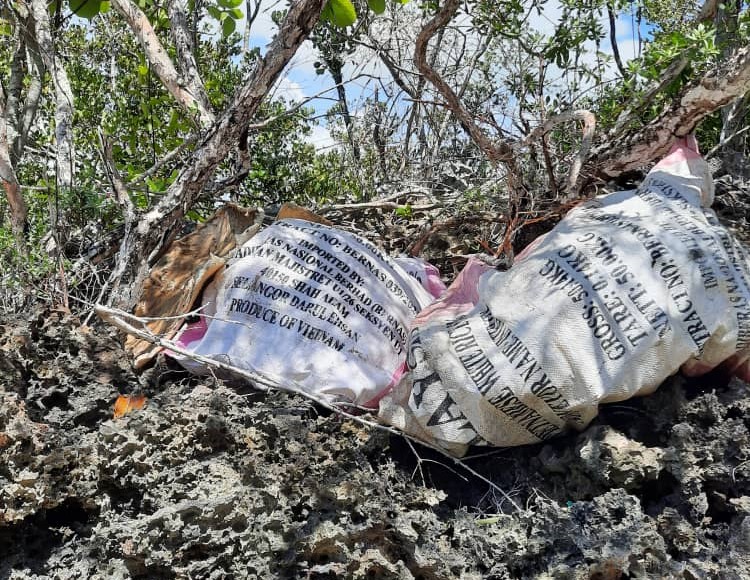 11 turtles brutally killed, meat cooked, put into sacks 