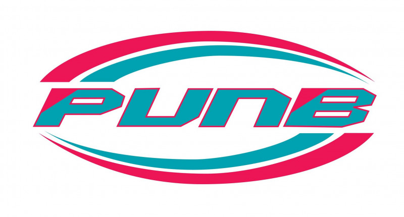 PUNB offers full moratorium, additional rental discounts