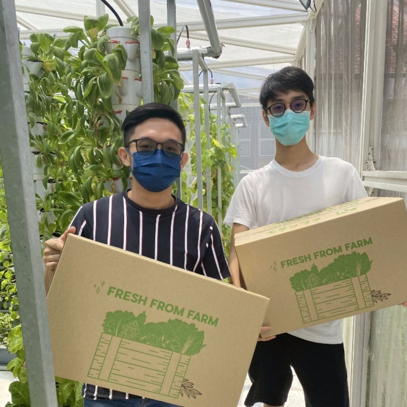 Urban E-Farm founded by student-entrepreneurs of a start-up incubator