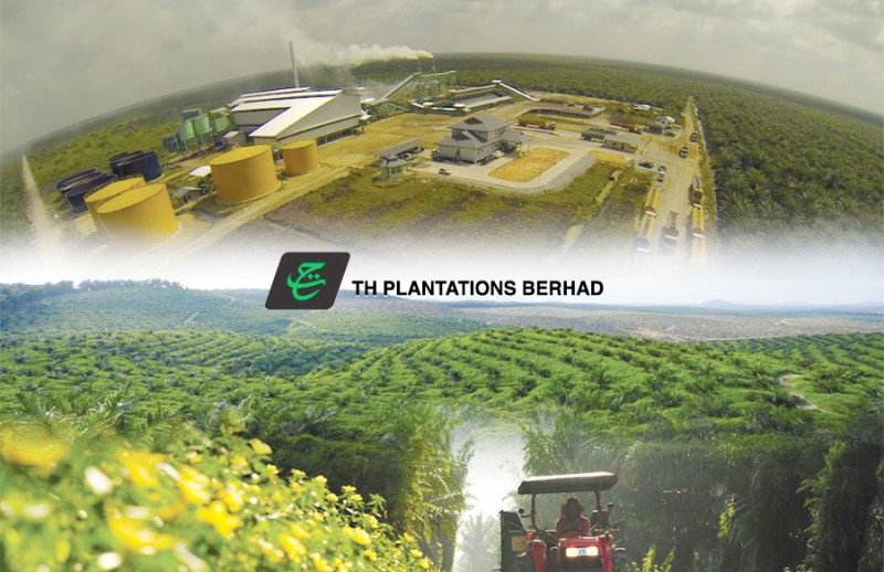 TH Plantations appoints Zainurin as new CEO