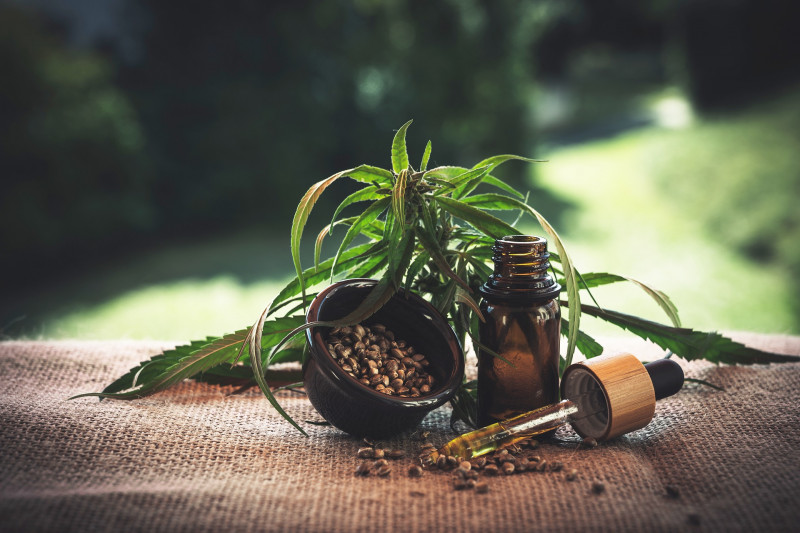 Parents forced to buy cannabis illegally to treat epileptic kids: Syed Saddiq