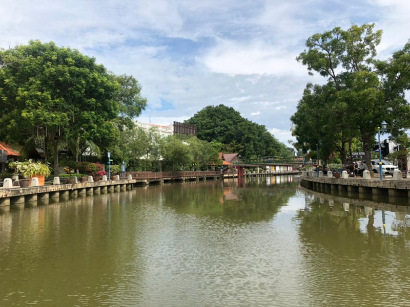Rivers see revival thanks to virus lockdown