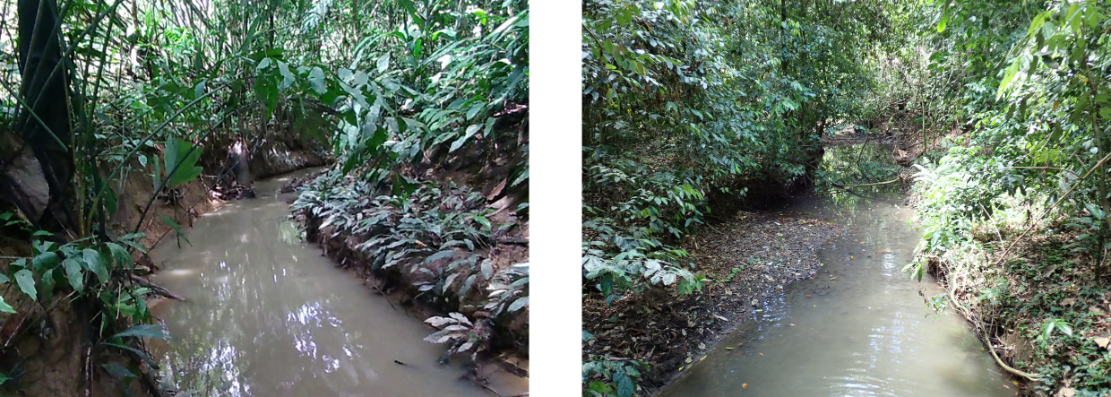 The two sites where the new freshwater mussels were found. – Pic courtesy of University of Nottingham