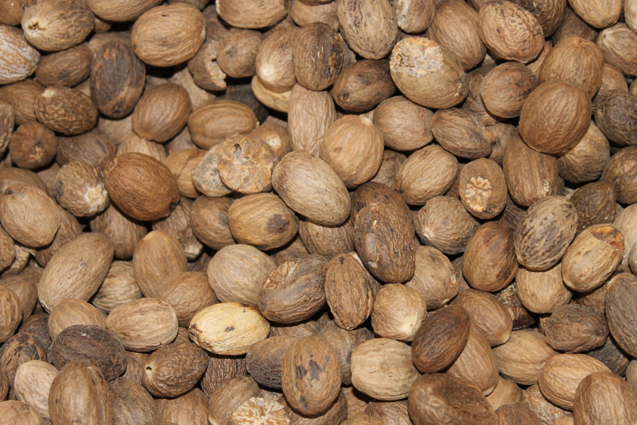 Nutmeg has been cultivated in Balik Pulau since at least 1794. – Pixabay pic