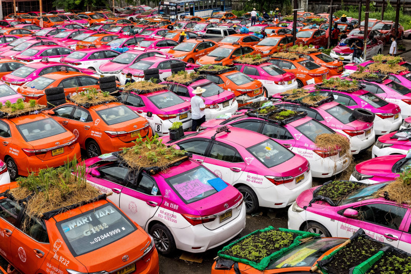 Bangkok 'taxi graveyard' comes to life with mini-gardens