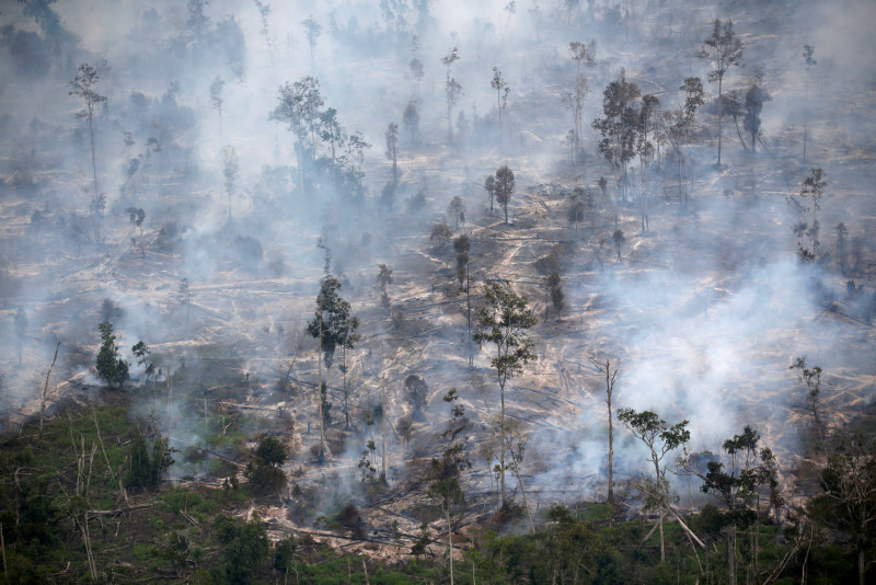 Indonesia ends deforestation pact with Norway, cites non-payment